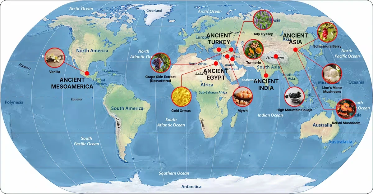 Ancient Civilizations Herbal Origins World Map showing ingredient sources